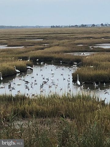 12351 MEADOW DR, Berlin, MD 21811