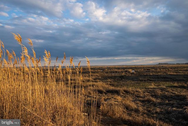 12351 MEADOW DR, Berlin, MD 21811