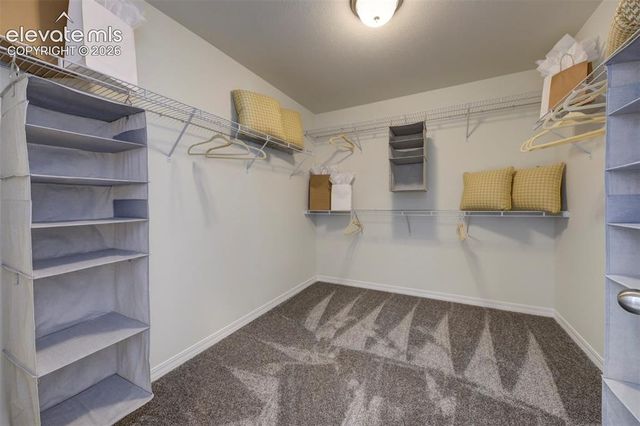 8230 Lemon Grass Road, Falcon, CO 80831