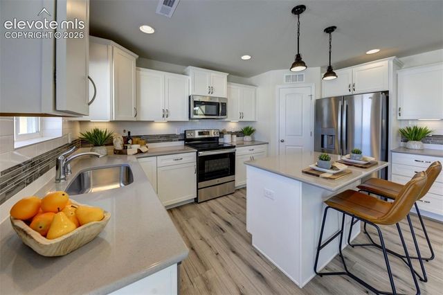 8230 Lemon Grass Road, Falcon, CO 80831