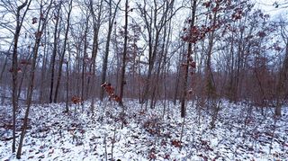 0 Foxtrot Road, Cadet, MO 63630