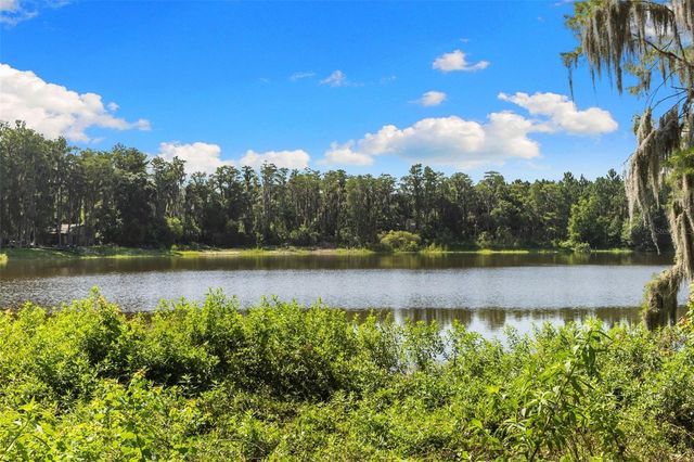 18117 BOY SCOUT ROAD, Odessa, FL 33556