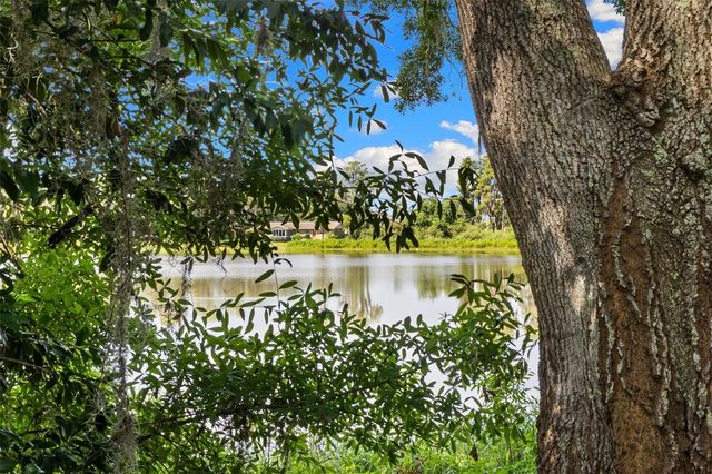 18117 BOY SCOUT ROAD, Odessa, FL 33556