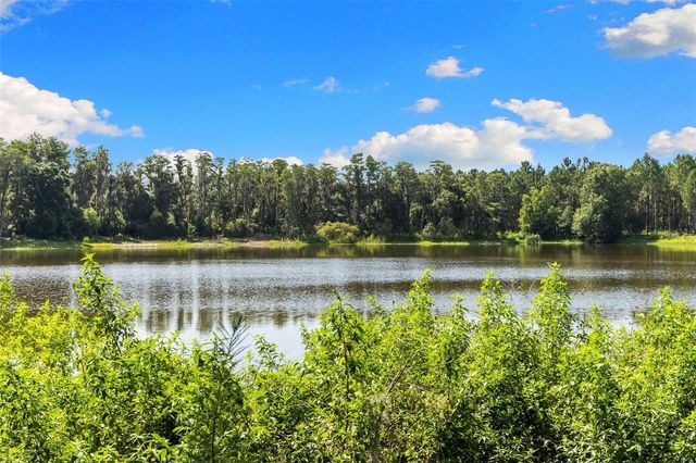 18117 BOY SCOUT ROAD, Odessa, FL 33556