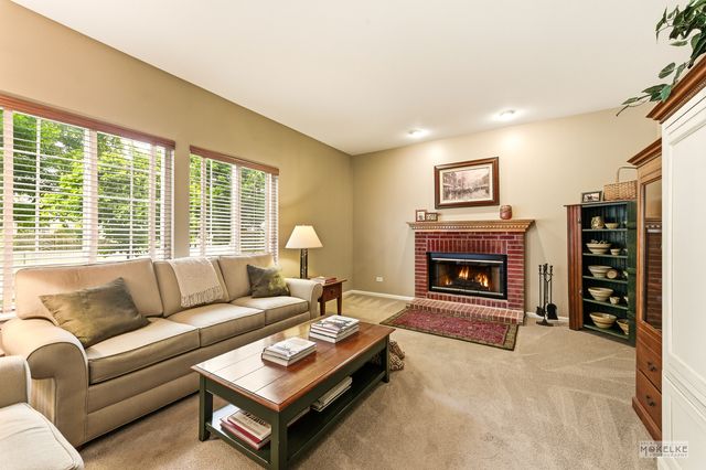 6102 Pheasant Ridge Drive, Plainfield, IL 60586