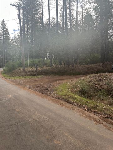 22596 Alaire Ln, Pioneer, CA 95666