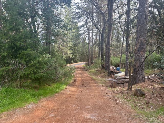 22596 Alaire Ln, Pioneer, CA 95666