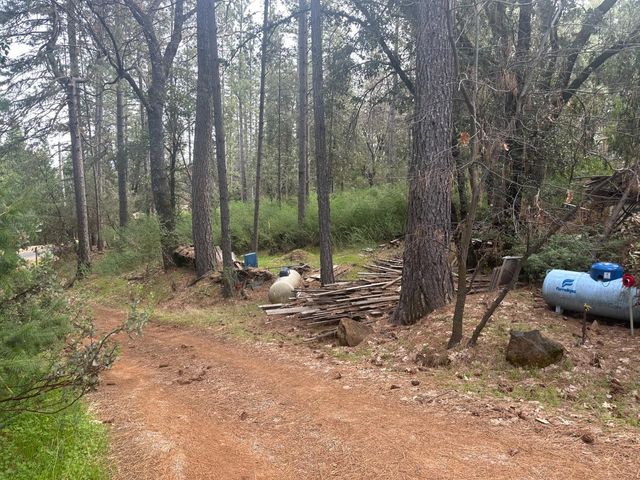 22596 Alaire Ln, Pioneer, CA 95666