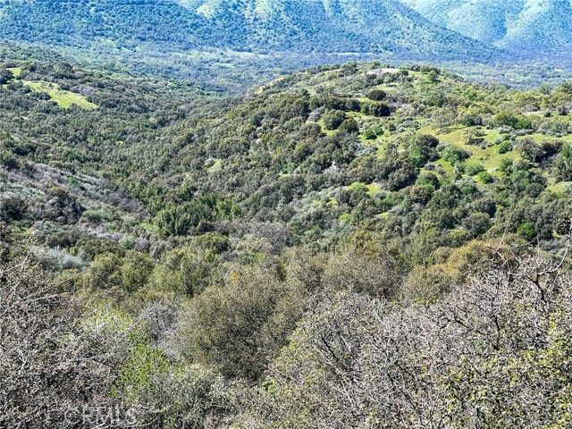 44981 Todd Eymann Road, Miramonte, CA 93641