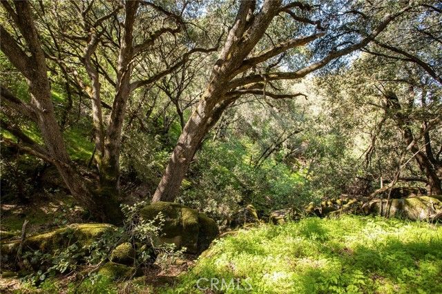 44981 Todd Eymann Road, Miramonte, CA 93641