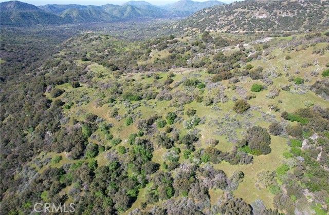 44981 Todd Eymann Road, Miramonte, CA 93641