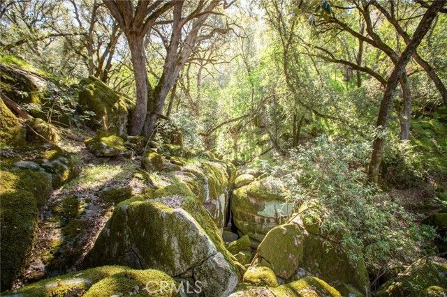 44981 Todd Eymann Road, Miramonte, CA 93641