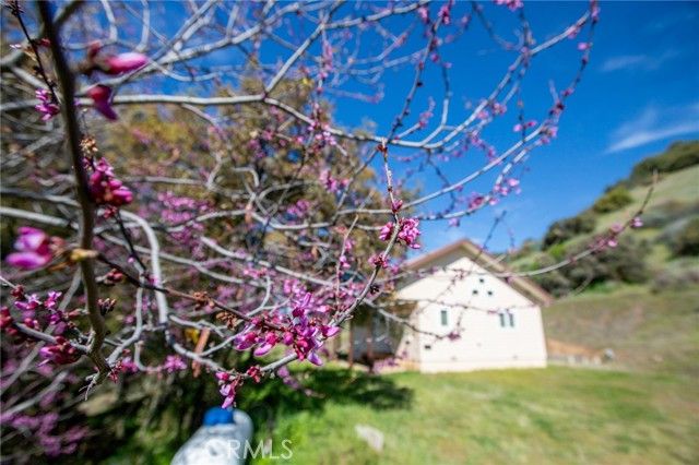 44981 Todd Eymann Road, Miramonte, CA 93641