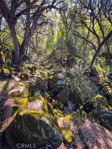 44981 Todd Eymann Road, Miramonte, CA 93641