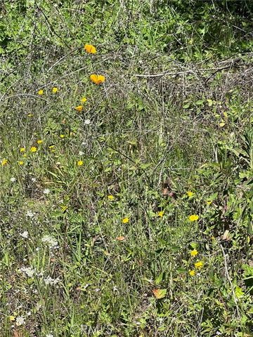 44981 Todd Eymann Road, Miramonte, CA 93641