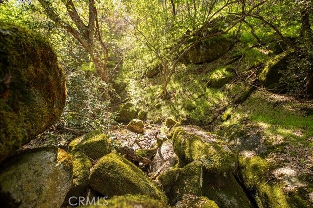 44981 Todd Eymann Road, Miramonte, CA 93641