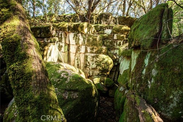 44981 Todd Eymann Road, Miramonte, CA 93641