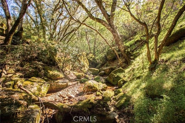 44981 Todd Eymann Road, Miramonte, CA 93641
