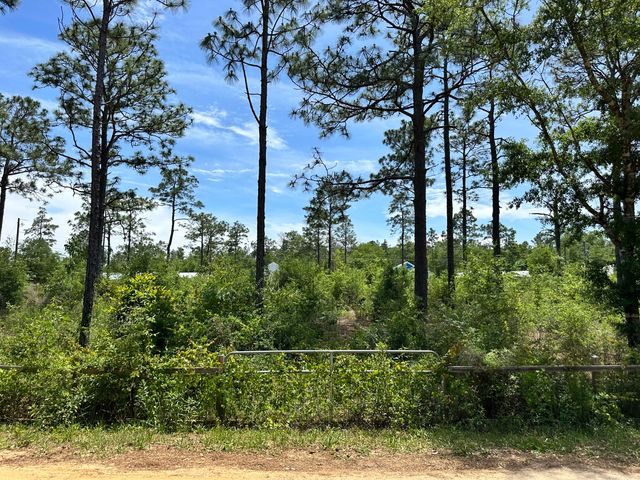 Lots 4-6 W Renoir Road, Defuniak Springs, FL 32433
