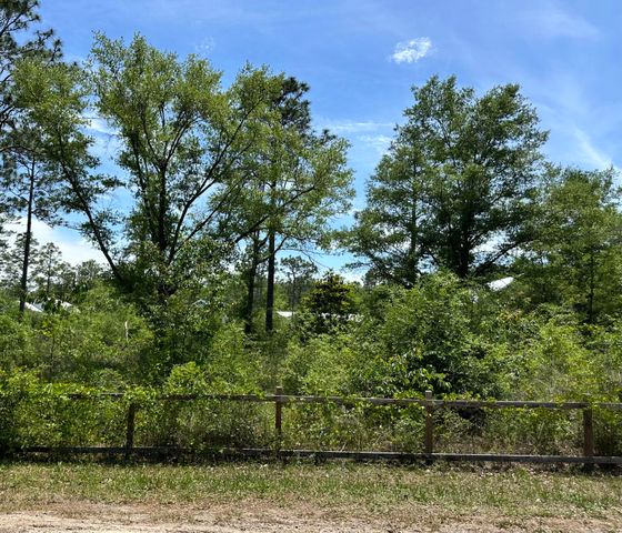 Lots 4-6 W Renoir Road, Defuniak Springs, FL 32433
