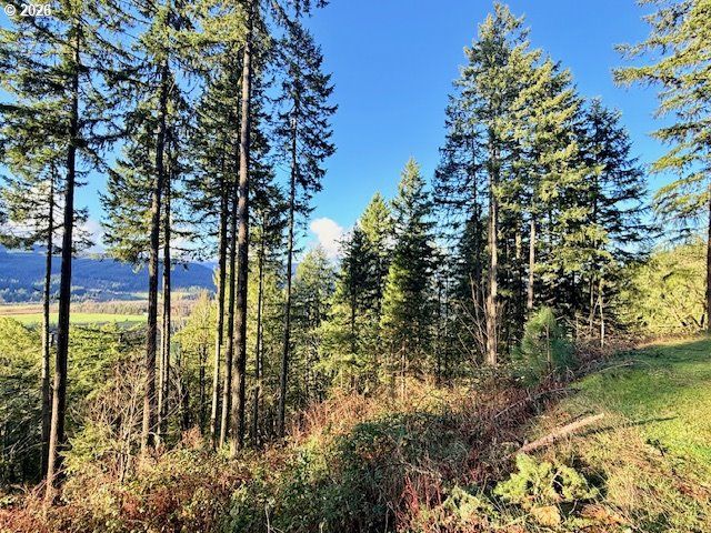 Alder Branch Rd, Springfield, OR 97478