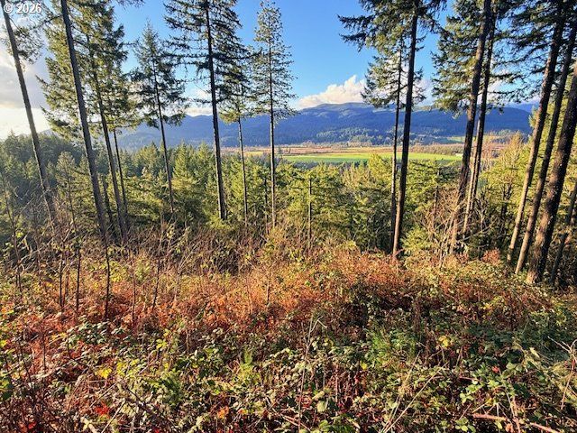 Alder Branch Rd, Springfield, OR 97478
