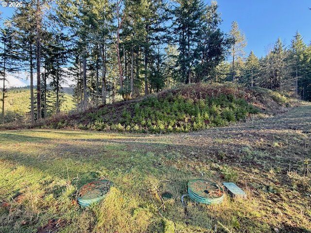 Alder Branch Rd, Springfield, OR 97478