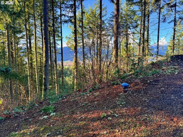 Alder Branch Rd, Springfield, OR 97478
