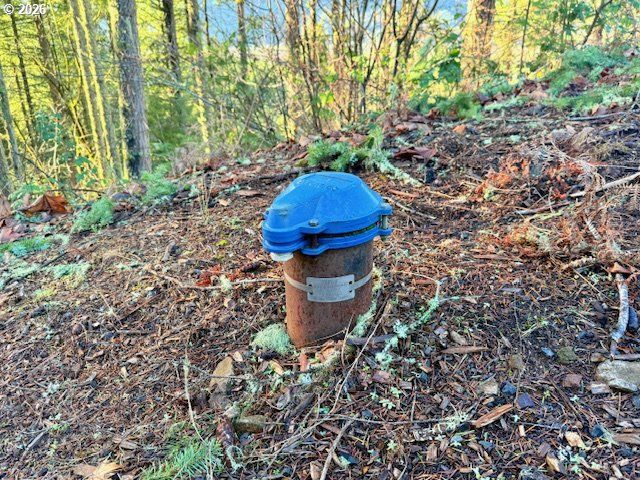 Alder Branch Rd, Springfield, OR 97478