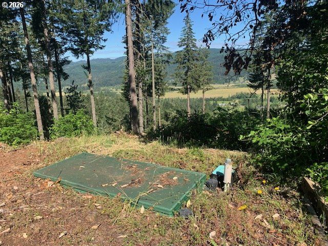 Alder Branch Rd, Springfield, OR 97478