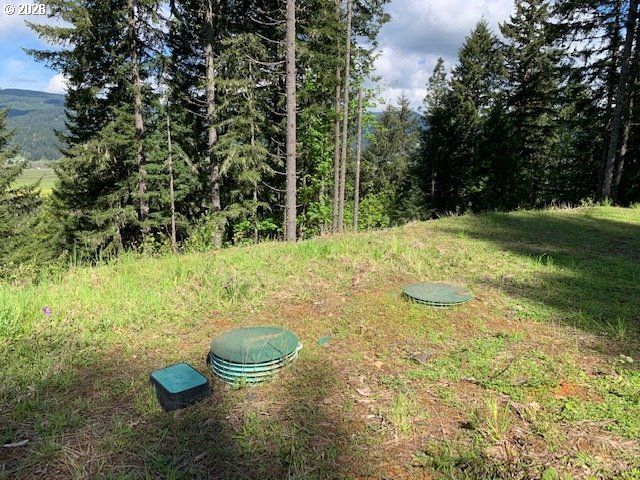 Alder Branch Rd, Springfield, OR 97478
