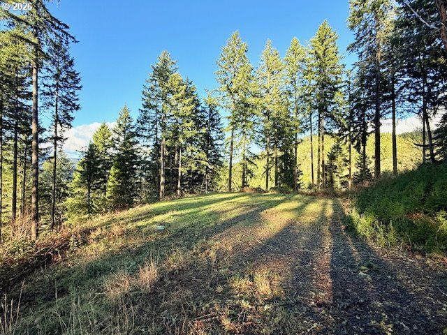 Alder Branch Rd, Springfield, OR 97478