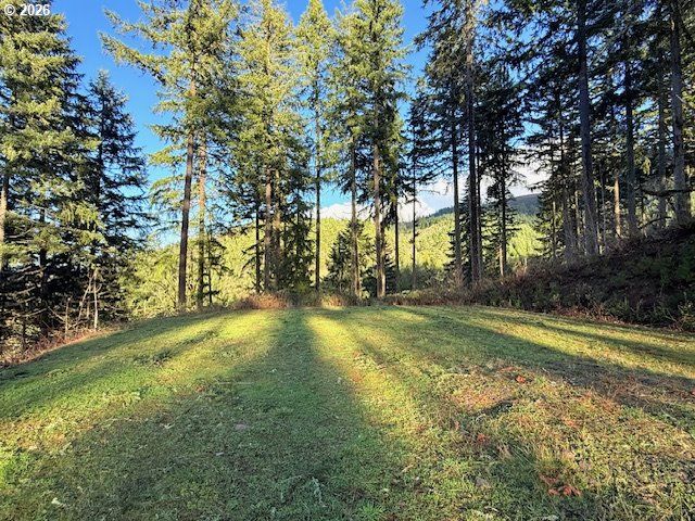 Alder Branch Rd, Springfield, OR 97478