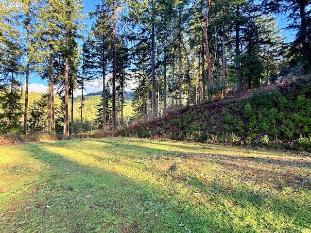 Alder Branch Rd, Springfield, OR 97478