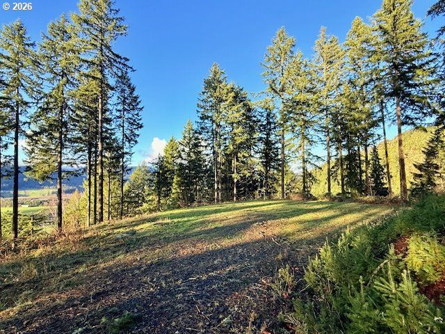 Alder Branch Rd, Springfield, OR 97478