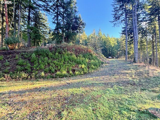Alder Branch Rd, Springfield, OR 97478