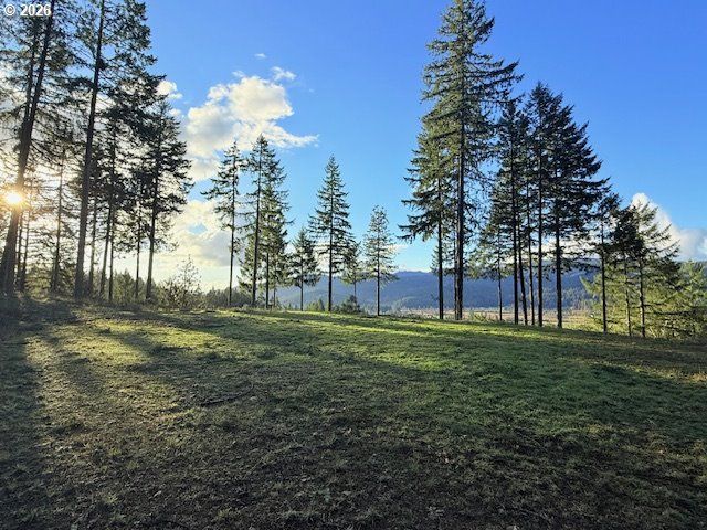 Alder Branch Rd, Springfield, OR 97478