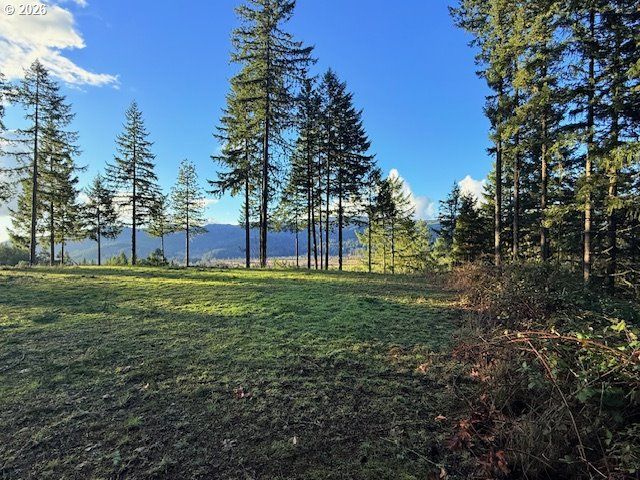 Alder Branch Rd, Springfield, OR 97478