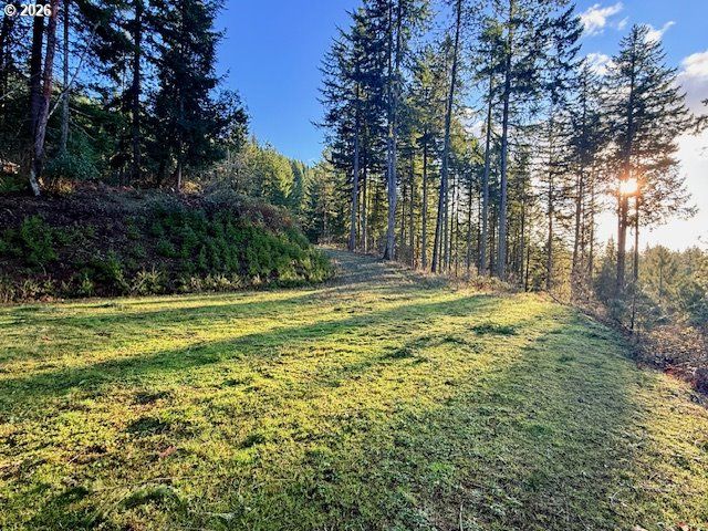 Alder Branch Rd, Springfield, OR 97478