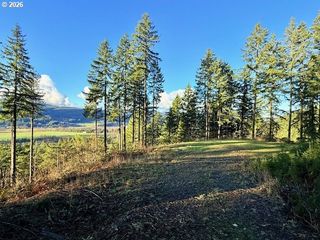 Alder Branch Rd, Springfield, OR 97478