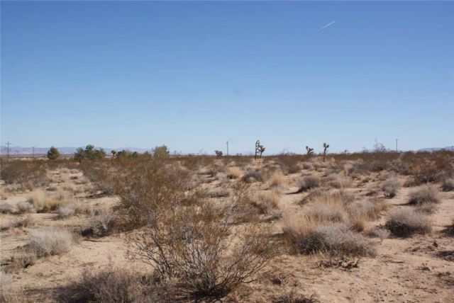 426 Gerber, Landers, CA 92285