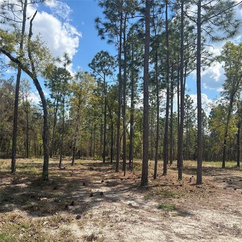 2395 NW 81ST AVENUE, Wildwood, FL 34785