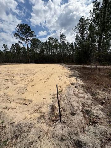 2395 NW 81ST AVENUE, Wildwood, FL 34785