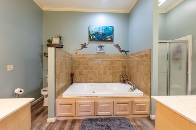 5725 Wayland Springs Rd, Iron City, TN 38463