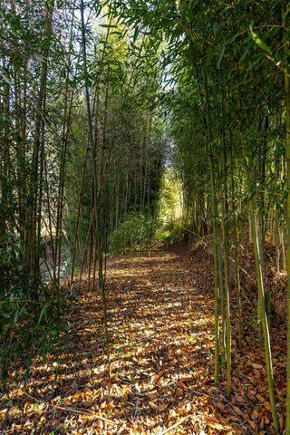 5725 Wayland Springs Rd, Iron City, TN 38463