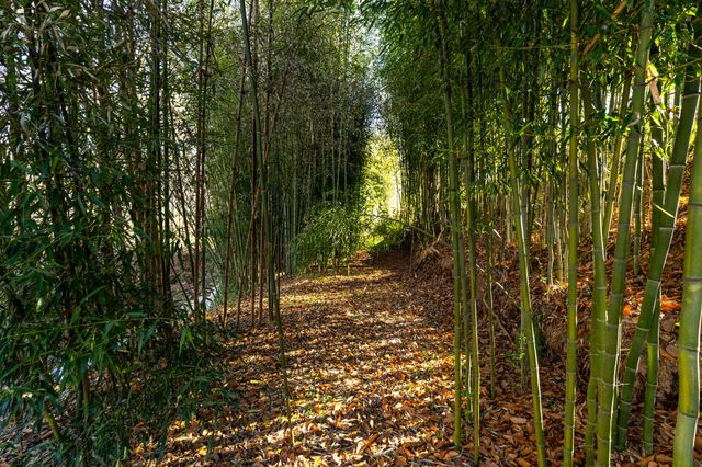 5725 Wayland Springs Rd, Iron City, TN 38463