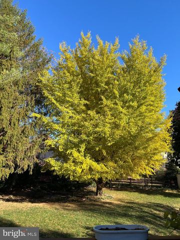 12737 TRIPLE CROWN RD, Gaithersburg, MD 20878