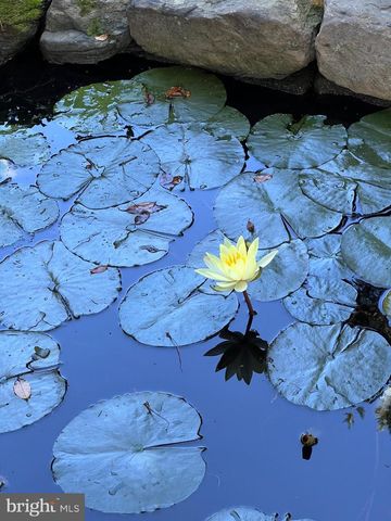 12737 TRIPLE CROWN RD, Gaithersburg, MD 20878