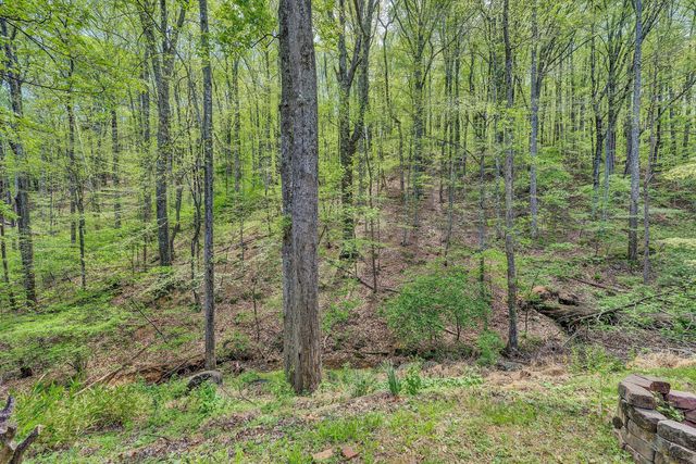 6516 Hidden Woods DR, Roanoke, VA 24018