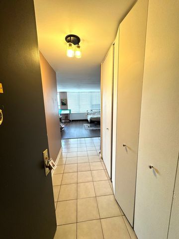 655 W Irving Park Road 2505, Chicago, IL 60613